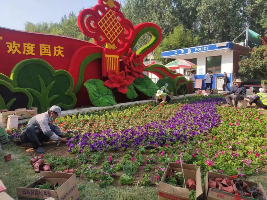 喜迎国庆燕郊高新区摆花进行中